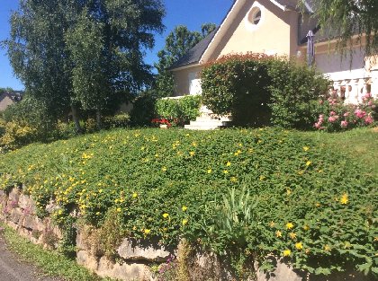 La Maison du Pèlerin - Maison, 