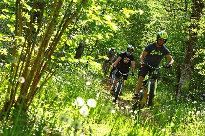 balade en foret, air globe