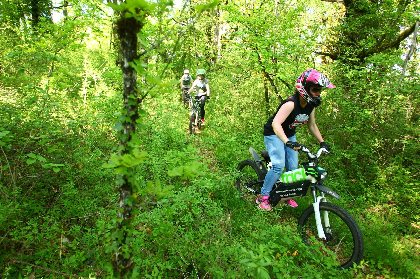 Balade en foret , Air globe