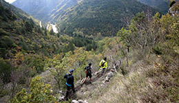 Trail : Peyreleau - La Jonte