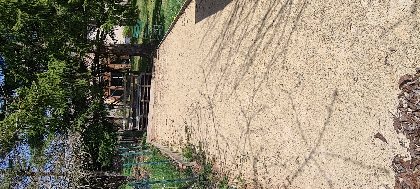 Cécile LOUZAS, Cécile LOUZAS