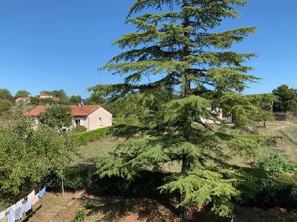 Vue depuis fenêtre, 