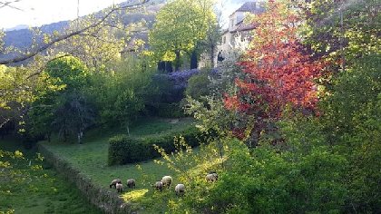 Terrain de la propriété, 