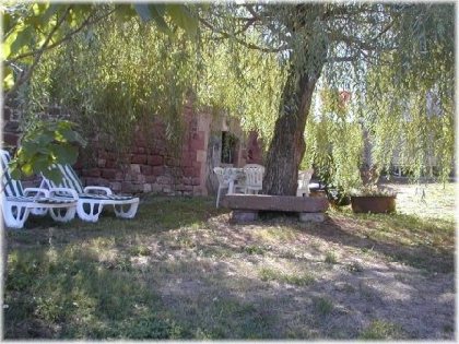 Jardin du Saule, A.CUSSAC