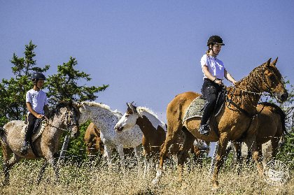 Les chevaux du rajal, Virginie Govignon - OT Larzac Vallées