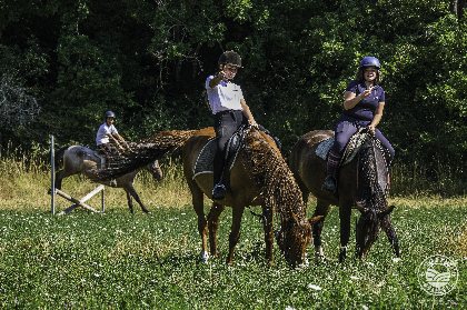 Les chevaux du rajal, Virginie Govignon - OT Larzac Vallées