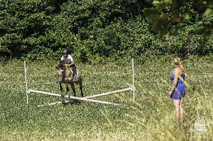 Les chevaux du rajal, Virginie Govignon - OT Larzac Vallées
