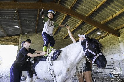 Les chevaux du rajal, Virginie Govignon - OT Larzac Vallées