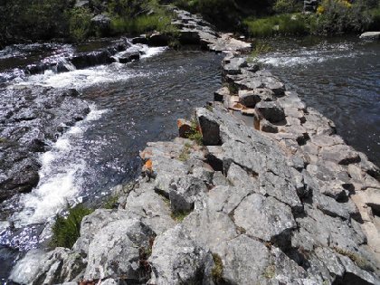 chaussee-des-geants-aubrac-virginie-pachot, OFFICE DE TOURISME DE PARELOUP LEVEZOU