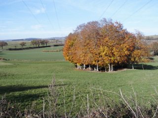 haut-levezou-AVEYRON RANDONNEE, OFFICE DE TOURISME DE PARELOUP LEVEZOU