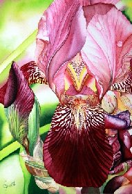 Aquarelle en gîte Mr Ginestet, OFFICE DE TOURISME DE VILLENEUVE D'AVEYRON