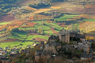 La route des vins de Marcillac, Comité Départemental du Tourisme de l'Aveyron