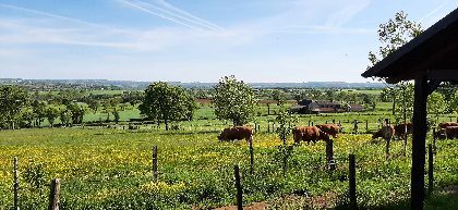 Vue sur les vallées et champs environnants, Gîte Sous les deux arbres