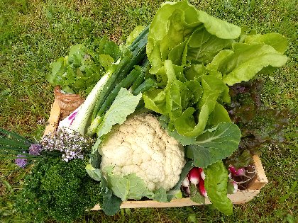 Et de bons produits de la ferme disponibles!, Gîte Sous les deux arbres