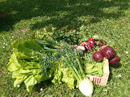 Uniquement des produits de saison!, Gîte Sous les deux arbres