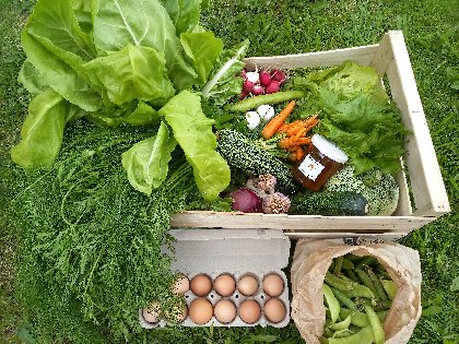 Des produits issus de méthodes permacoles respectueuses de l'environnement et de votre bien-être! , Gîte Sous les deux arbres