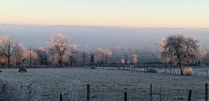 Ambiance hivernale, Gîte Sous les deux arbres