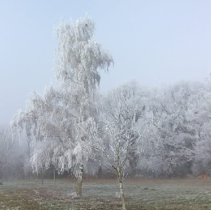 Ambiance hivernale, Gîte Sous les deux arbres