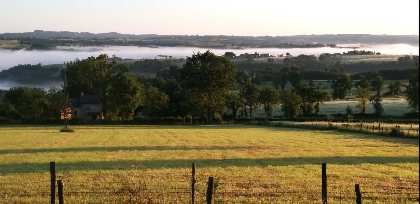 Ambiance printanière, au petit matin..., Gîte Sous les deux arbres