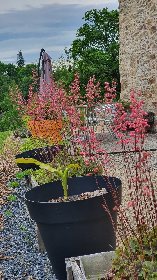 Le Cros de Céor, OFFICE DE TOURISME PAYS SEGALI