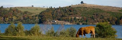 Les Loco-Motivés, panier de produits locaux, Syndicat d'initiative d'Arvieu