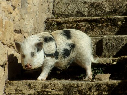 La Calade - Sylvie Jung, La Calade - Sylvie Jung