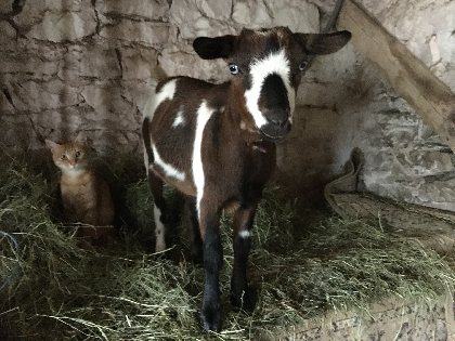La Calade - Sylvie Jung, La Calade - Sylvie Jung