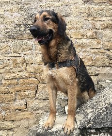 La Calade - Sylvie Jung, La Calade - Sylvie Jung