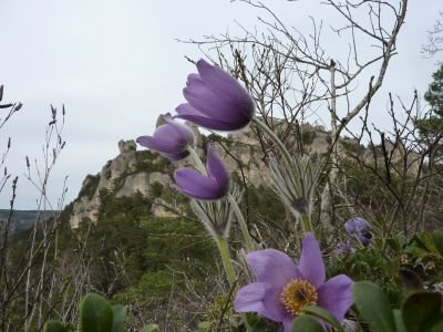 SUD RANDOS (groupes), OFFICE DE TOURISME DU SAINT AFFRICAIN