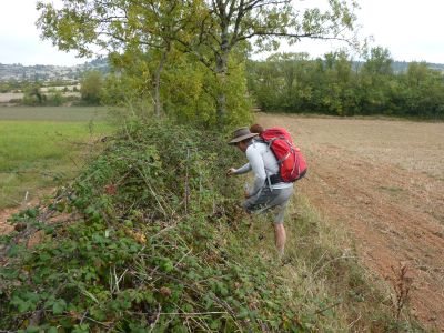 SUD RANDOS (groupes), OFFICE DE TOURISME DU SAINT AFFRICAIN