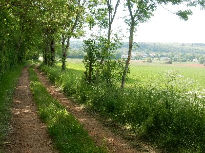 Gîte des Hirondelles, OFFICE DE TOURISME LARZAC VALLEES