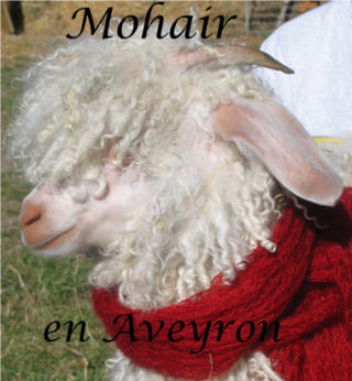 Mohair en Aveyron