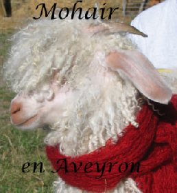 Mohair en Aveyron, Mohair en Aveyron