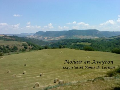 Mohair en Aveyron - Paysage de l'exploitation, Mohair en Aveyron