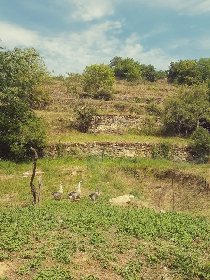 Compagnons, Gîte des Apis