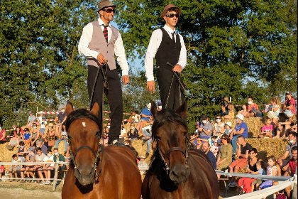 Les Ecuries de Lestourade, OFFICE DE TOURISME DU REQUISTANAIS