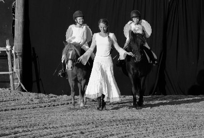 Les Ecuries de Lestourade, OFFICE DE TOURISME DU REQUISTANAIS