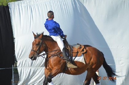 les écuries de Lestourade, 