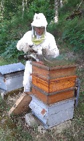 Le Rucher du Carladez, Le Rucher du Carladez