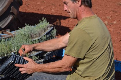 Eric DARLEY - Alambic du Larzac, OFFICE DE TOURISME LARZAC VALLEES
