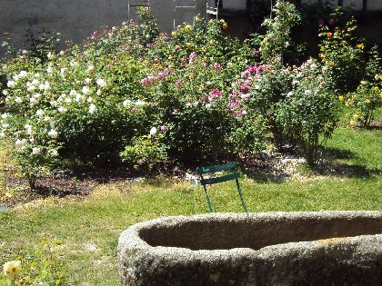 Roseraie de Sauveterre de Rouergue, OFFICE DE TOURISME DE SAUVETERRE DE ROUERGUE