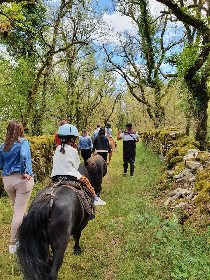 Ferme équestre Chez Maiwenn - Poney et Chevaux, Ferme equestre chez Valdine