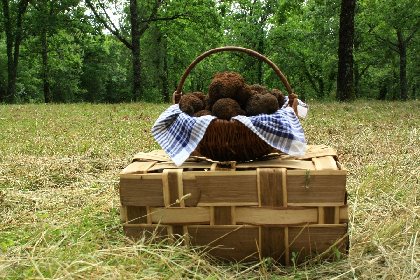 Truffes passion, OT Villefranche-Najac