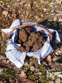 Truffes passion, OT Villefranche-Najac