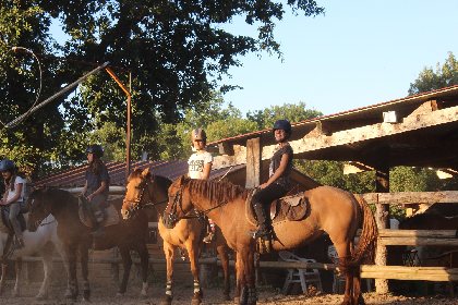 Ferme équestre du Mas de Laval, OFFICE DE TOURISME DE CAPDENAC (BUREAU DE L'OT DU PAYS DE FIGEAC)