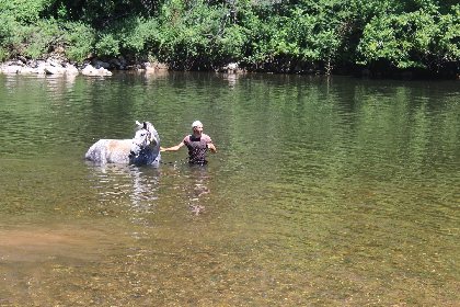 Ferme équestre du Mas de Laval, OFFICE DE TOURISME DE CAPDENAC (BUREAU DE L'OT DU PAYS DE FIGEAC)