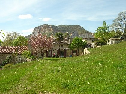 MAS FONTA, MAS FONTA