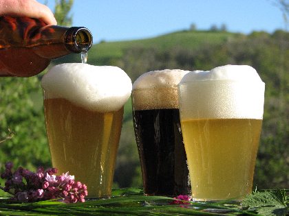 Brasserie Beau Soleil, 