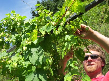 Brasserie Beau Soleil, 