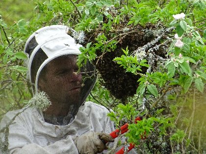 Brasserie Beau Soleil, 